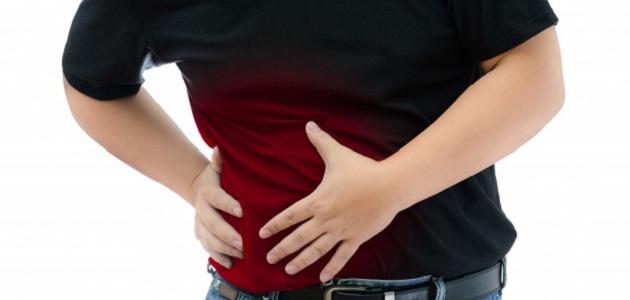 ما هي وظيفة الزائدة الدودية ما هي وظيفة الزائدة الدودية