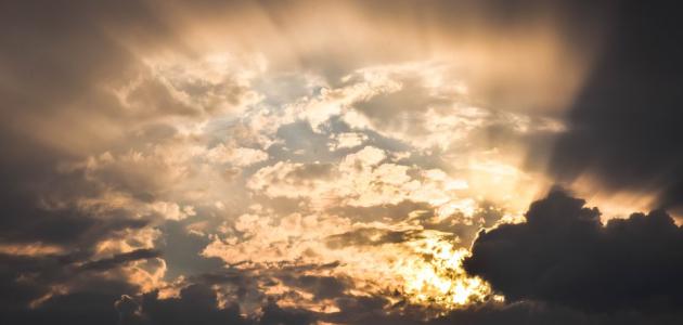 ما يوجد في الجنة ما يوجد في الجنة