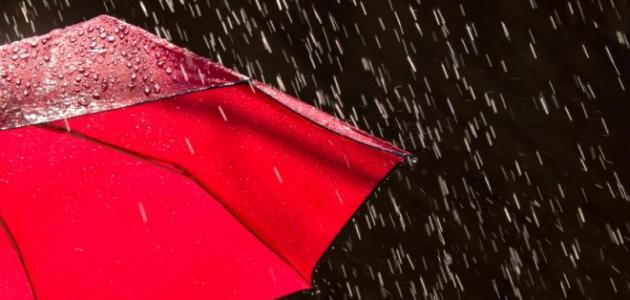 متى يبدأ فصل الشتاء متى يبدأ فصل الشتاء