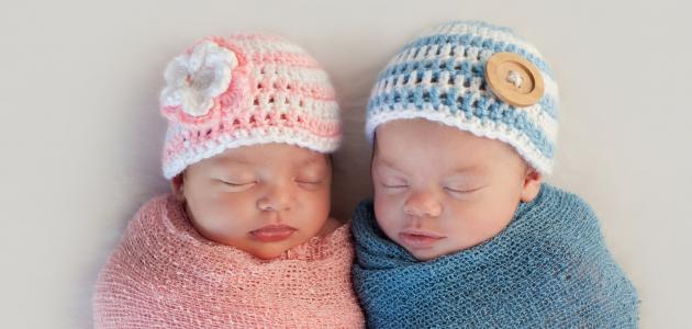 متى يتم تحديد نوع الجنين