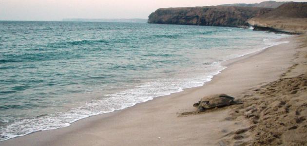 محافظة جنوب الشرقية محافظة جنوب الشرقية