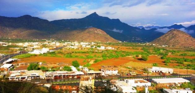 محافظة دمياط محافظة دمياط