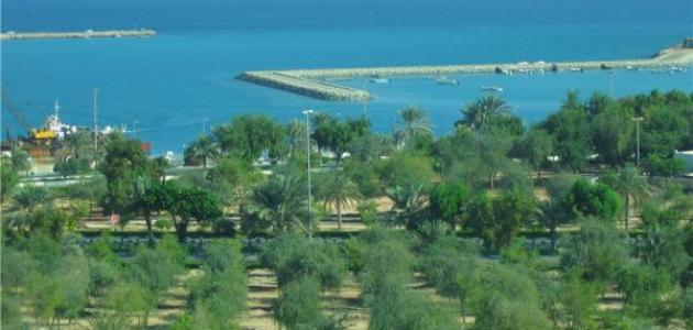 مدينة المرفأ في الإمارات