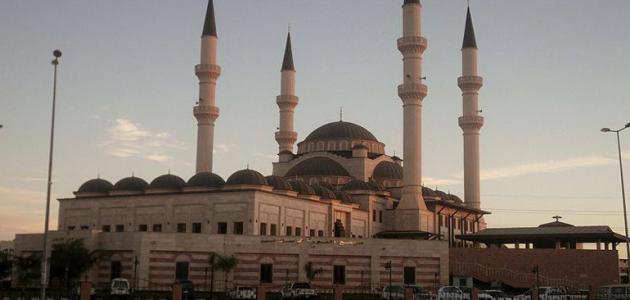 مدينة ربك في السودان