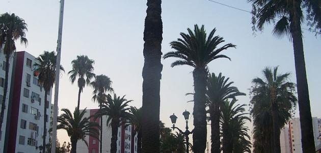 مدينة سكيكدة السياحية مدينة سكيكدة السياحية