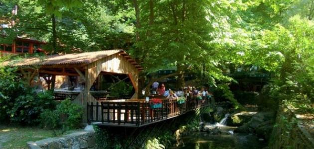 مدينة صفنجة