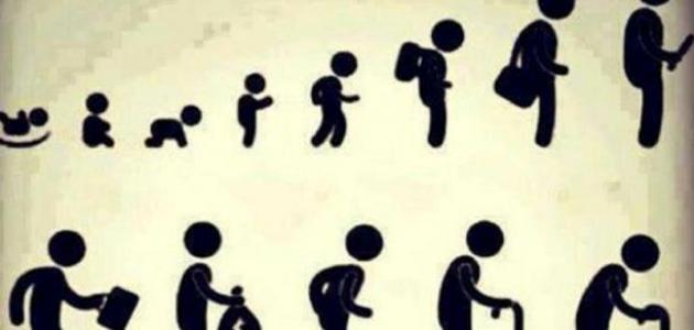 مراحل الإنسان العمرية مراحل الإنسان العمرية