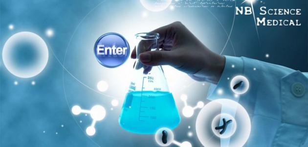 مراحل دورة النيتروجين مراحل دورة النيتروجين