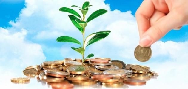 مظاهر التيسير في الزكاة مظاهر التيسير في الزكاة