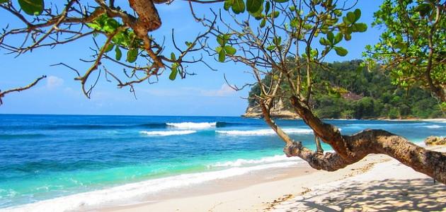 مظاهر فصل الصيف مظاهر فصل الصيف