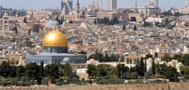 معلومات عامة عن فلسطين