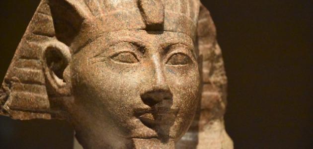 معلومات عن الملكة حتشبسوت