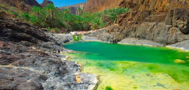 معلومات عن جزيرة سقطرى