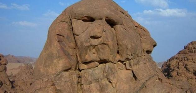 معلومات عن حائل