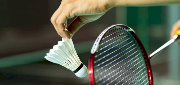 معلومات عن رياضة الريشة الطائرة معلومات عن رياضة الريشة الطائرة