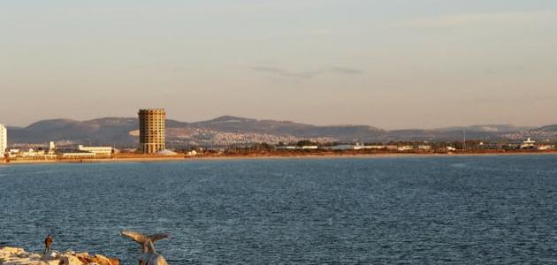 معلومات عن عكا