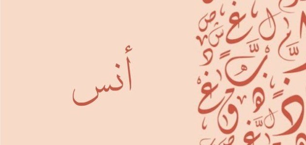 معنى اسم انس معنى اسم انس