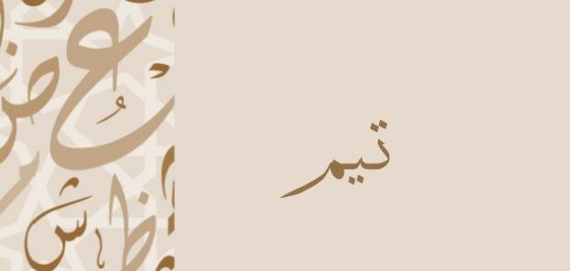 معنى اسم تيم معنى اسم تيم