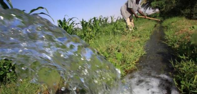 معوقات الزراعة في السودان معوقات الزراعة في السودان