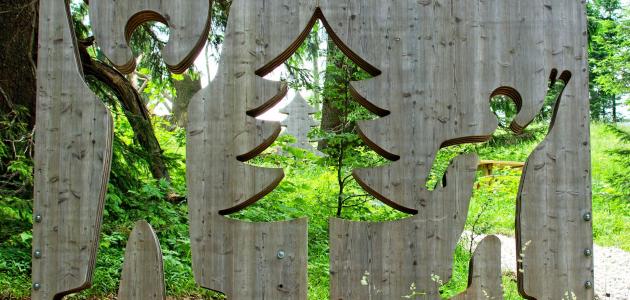 مفهوم الإيكولوجيا البشرية مفهوم الإيكولوجيا البشرية