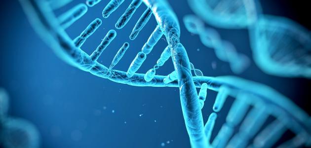 مفهوم البصمة الوراثية مفهوم البصمة الوراثية