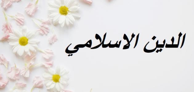 مفهوم الدين الإسلامي مفهوم الدين الإسلامي