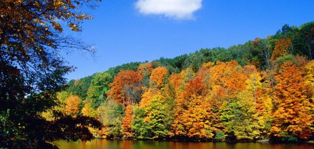 مفهوم الشعر عند النقاد القدامى