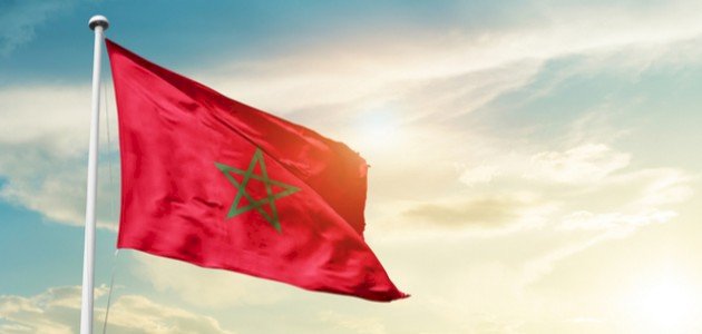 مفهوم حكومة التناوب