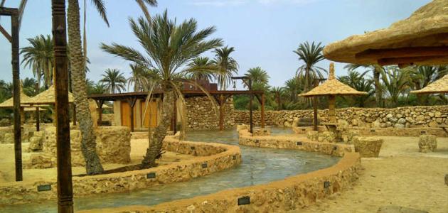 مقال قصير عن السياحة في المملكة العربية السعودية