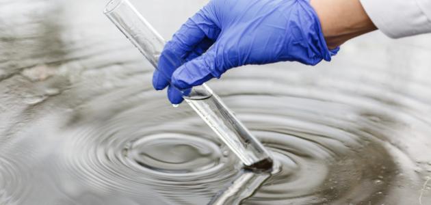 مكونات مياه البحر مكونات مياه البحر