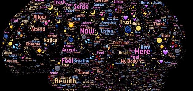 مم يتكون عقل الإنسان