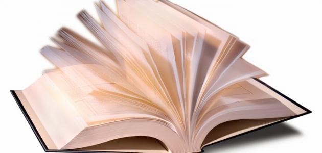 منهجية تحليل نص نقدي