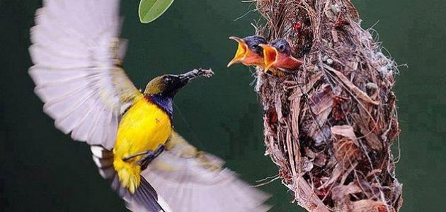 من أسباب كثرة الرزق من أسباب كثرة الرزق