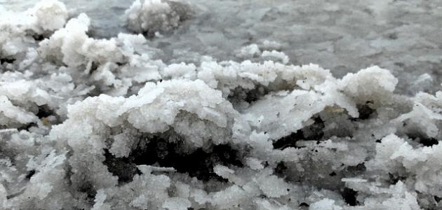 من أين يأتي الملح من أين يأتي الملح