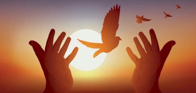 من أي عمر يحاسب الإنسان من أي عمر يحاسب الإنسان