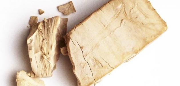 من ماذا تصنع الخميرة