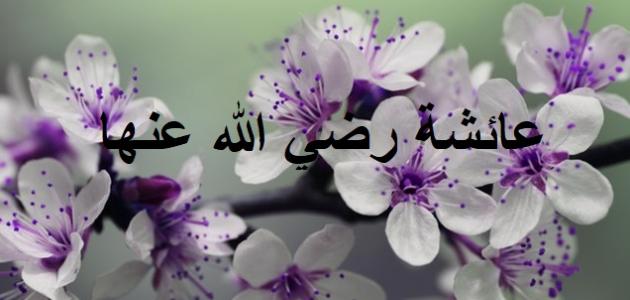 من هي ثالث زوجات الرسول من هي ثالث زوجات الرسول