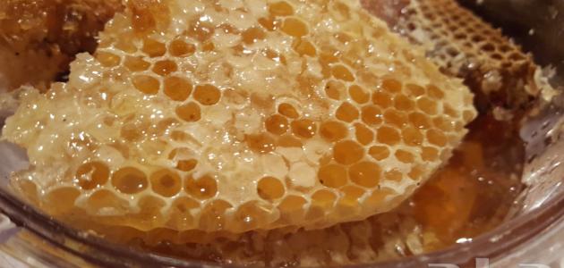 مواصفات عسل السدر الأصلي مواصفات عسل السدر الأصلي