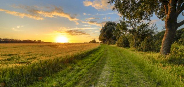 موضوع تعبير عن الريف موضوع تعبير عن الريف