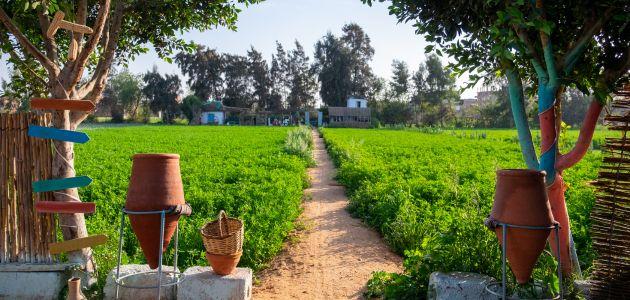 موضوع عن الريف المصري موضوع عن الريف المصري