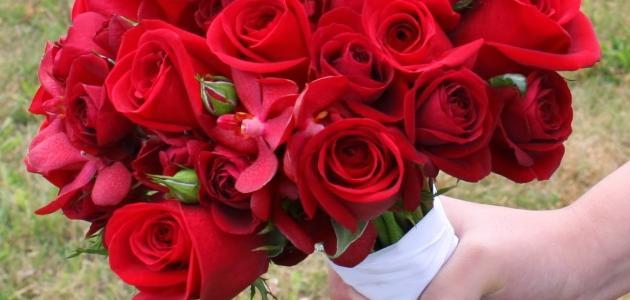 موضوع عن العيد موضوع عن العيد