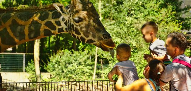 موضوع عن حديقة الحيوانات موضوع عن حديقة الحيوانات