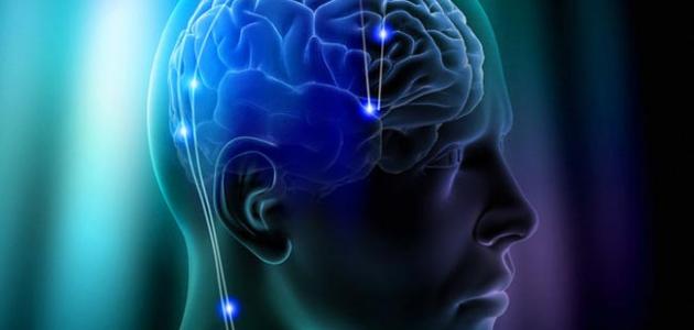 نسبة استخدام العقل البشري نسبة استخدام العقل البشري