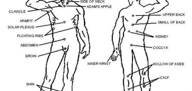 نقاط الضعف في جسم الإنسان نقاط الضعف في جسم الإنسان