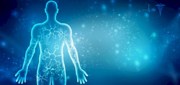 هل تعلم عن جسم الإنسان هل تعلم عن جسم الإنسان