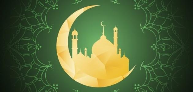 هل يجب غسل الفرج قبل الوضوء هل يجب غسل الفرج قبل الوضوء