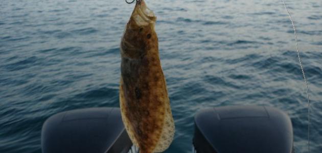 وسائل الصيد القديمة وسائل الصيد القديمة