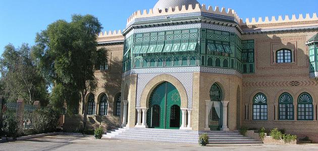 وصف مدينة توزر