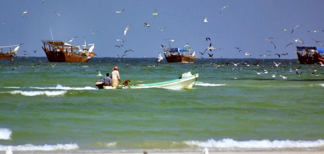 ولاية الدقم في سلطنة عمان