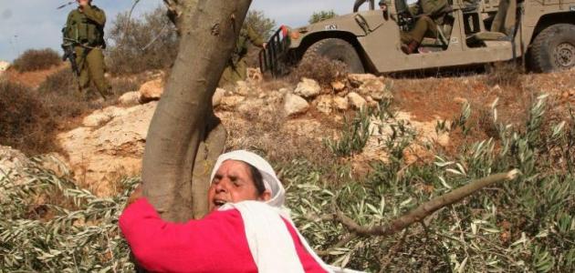 يوم الأرض يوم الأرض